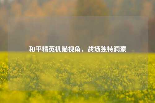 和平精英机瞄视角，战场独特洞察