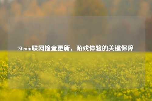 Steam联网检查更新,游戏体验的关键保障