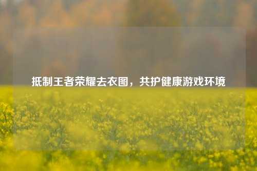 抵制王者荣耀去衣图，共护健康游戏环境