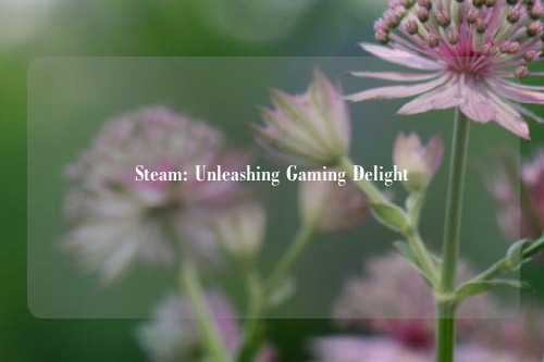 Steam: Unleashing Gaming Delight
