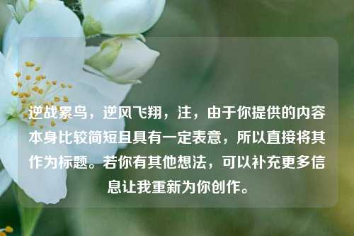 逆战累鸟，逆风飞翔，注，由于你提供的内容本身比较简短且具有一定表意，所以直接将其作为标题。若你有其他想法，可以补充更多信息让我重新为你创作。