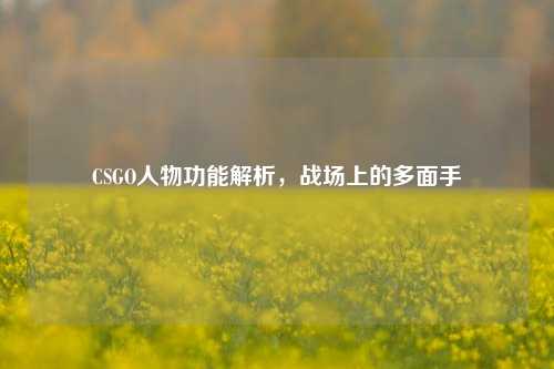 CSGO人物功能解析，战场上的多面手