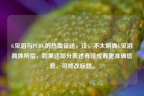 G见泪与PUBG的热血征途,注,不太明确G见泪具体所指,如果这部分表述有误或有更准确信息,可修改标题。