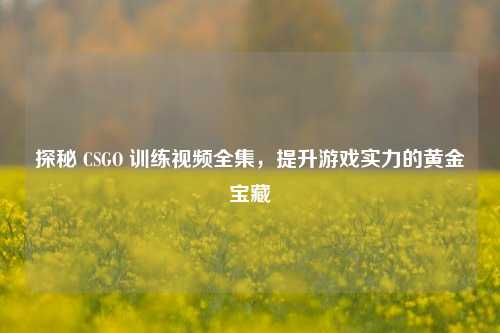 探秘 CSGO 训练视频全集，提升游戏实力的黄金宝藏