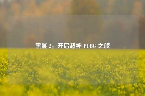 黑鲨 2，开启超神 PUBG 之旅