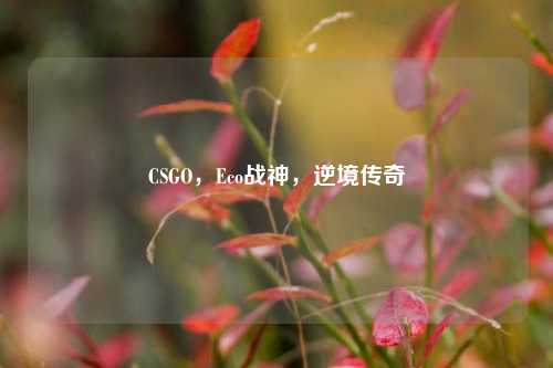 CSGO,Eco战神,逆境传奇