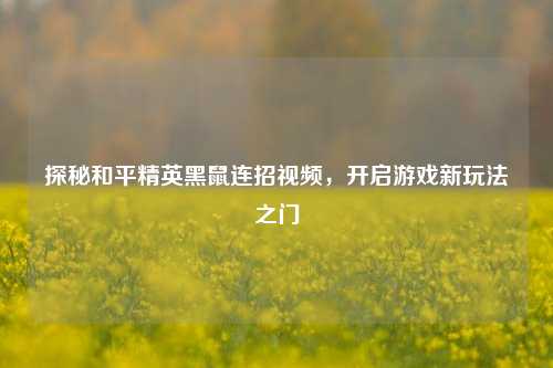 探秘和平精英黑鼠连招视频，开启游戏新玩法之门