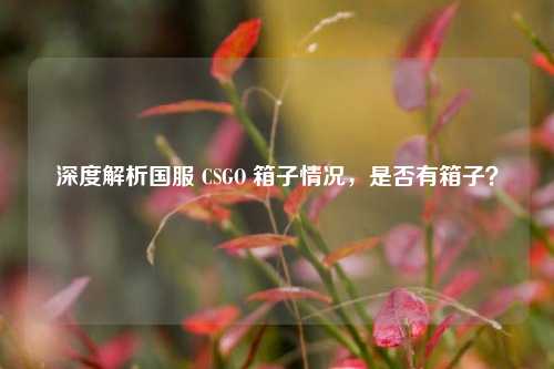 深度解析国服 CSGO 箱子情况，是否有箱子？