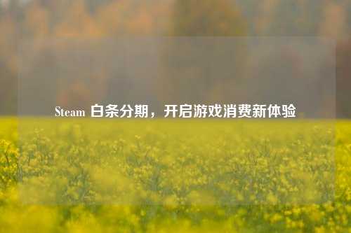 Steam 白条分期，开启游戏消费新体验
