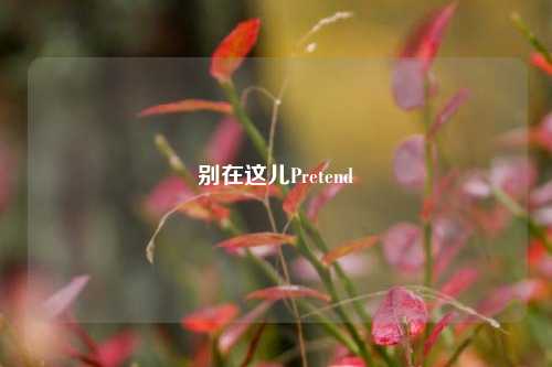 别在这儿Pretend