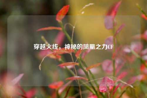 穿越火线，神秘的凤凰之力CF