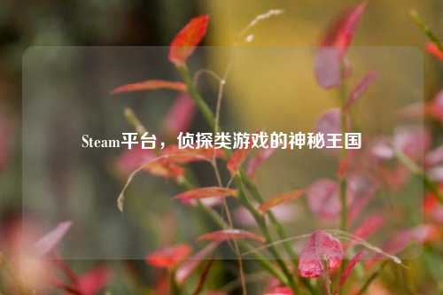 Steam平台，侦探类游戏的神秘王国