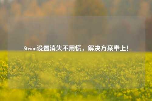 Steam设置消失不用慌，解决方案奉上！