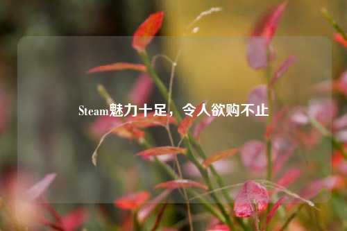 Steam魅力十足，令人欲购不止