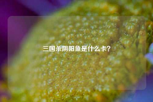 三国杀阴阳鱼是什么卡？