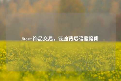 Steam饰品交易，钱途背后暗藏陷阱