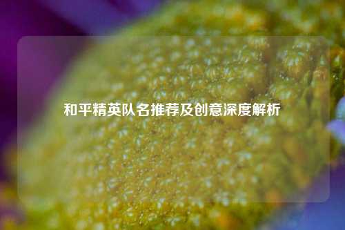和平精英队名推荐及创意深度解析