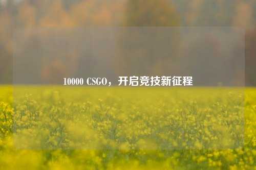 10000 CSGO,开启竞技新征程