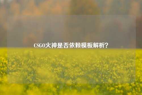 CSGO火神是否依赖模板解析？