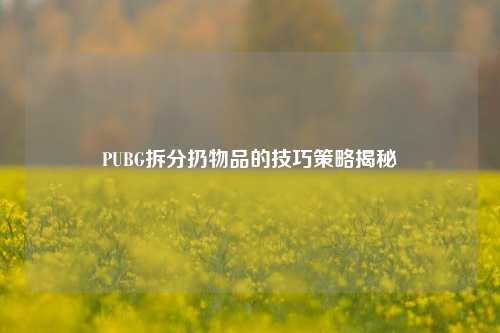 PUBG拆分扔物品的技巧策略揭秘