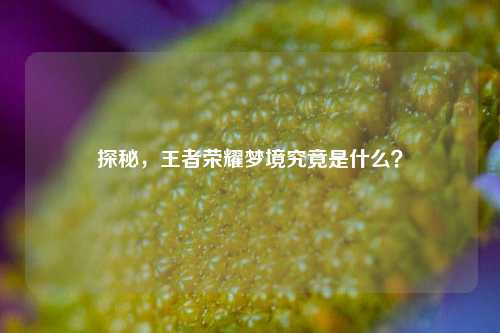 探秘，王者荣耀梦境究竟是什么？