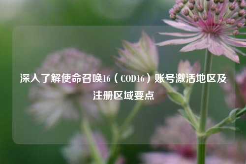 深入了解使命召唤16（COD16）账号激活地区及注册区域要点