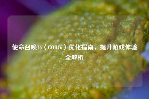 使命召唤16(COD16)优化指南,提升游戏体验全解析