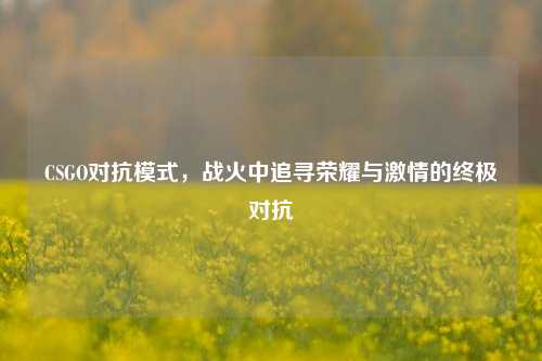 CSGO对抗模式,战火中追寻荣耀与***的终极对抗