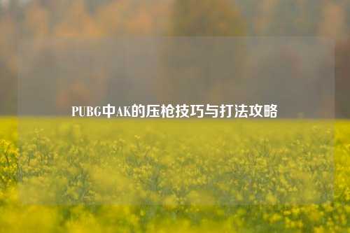 PUBG中AK的压枪技巧与打法攻略