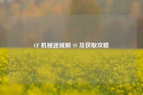 CF 机械迷城刷 SS 及获取攻略