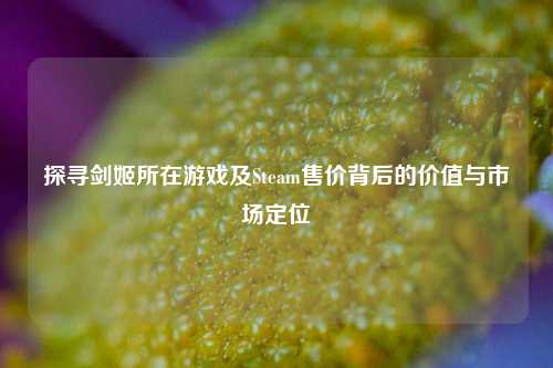 探寻剑姬所在游戏及Steam售价背后的价值与市场定位