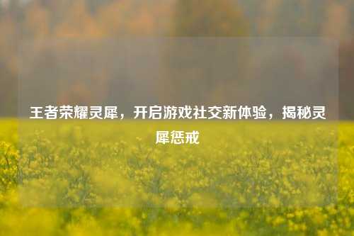 王者荣耀灵犀,开启游戏社交新体验,揭秘灵犀惩戒