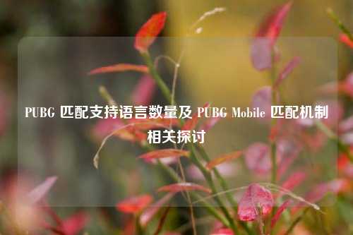 PUBG 匹配支持语言数量及 PUBG Mobile 匹配机制相关探讨