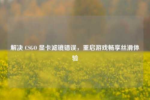 解决 CSGO 显卡滤镜错误,重启游戏畅享丝滑体验