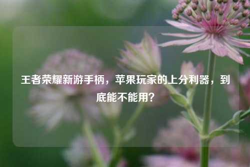 王者荣耀新游手柄,苹果玩家的上分利器,到底能不能用?