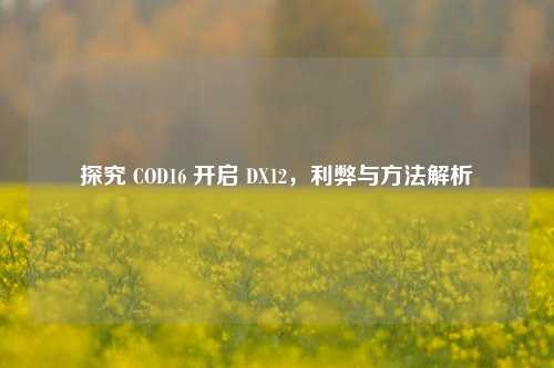 探究 COD16 开启 DX12,利弊与 *** 解析